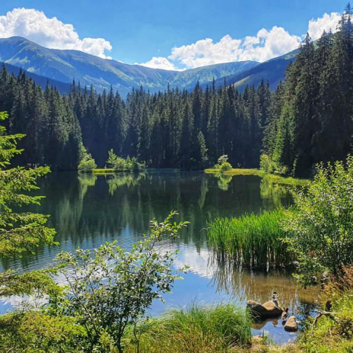 vrbicke-pleso-jasna-nizke-tatry.jpg